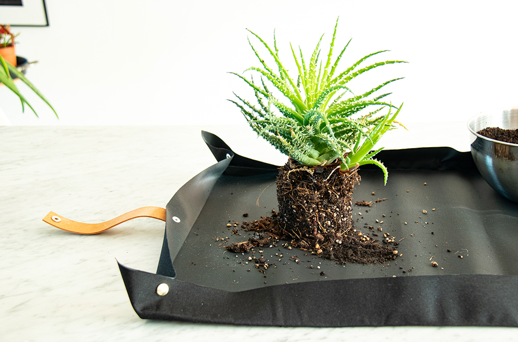 Potting Tarp