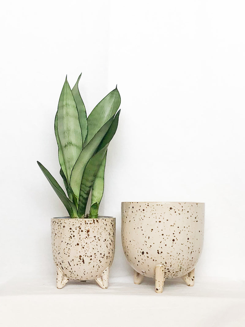 bespoke plant pots Belle Footed Pot – The Potted Jungle