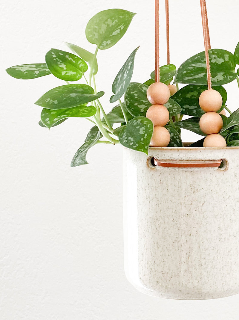 hanging indoor planter large Hannah Hanging Pot – The Potted Jungle