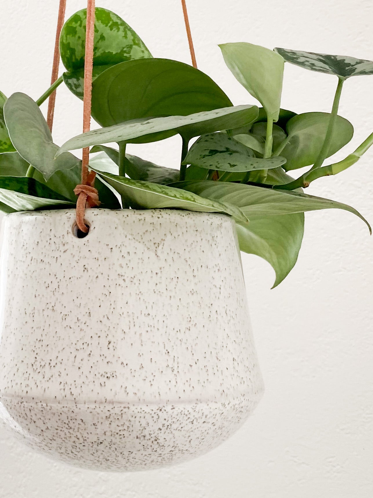 terrazzo hanging planter Monique Hanging Pot